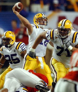 Matt Mauck, Justin Vincent  & Nate Livings