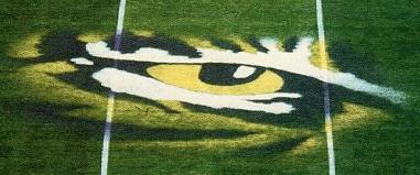 tigereye.jpg